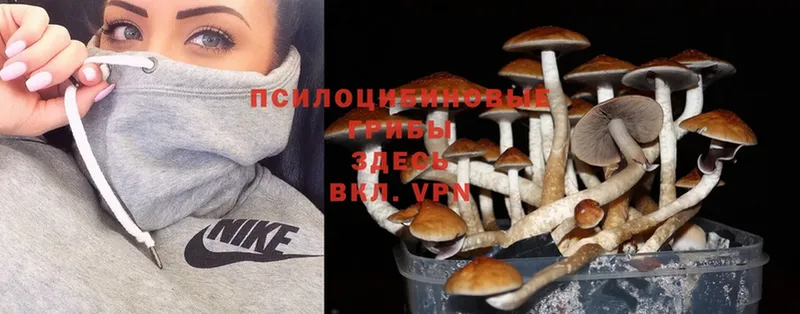 Галлюциногенные грибы MAGIC MUSHROOMS Полевской